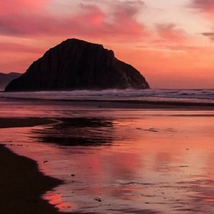 Meet your Posher, Ray